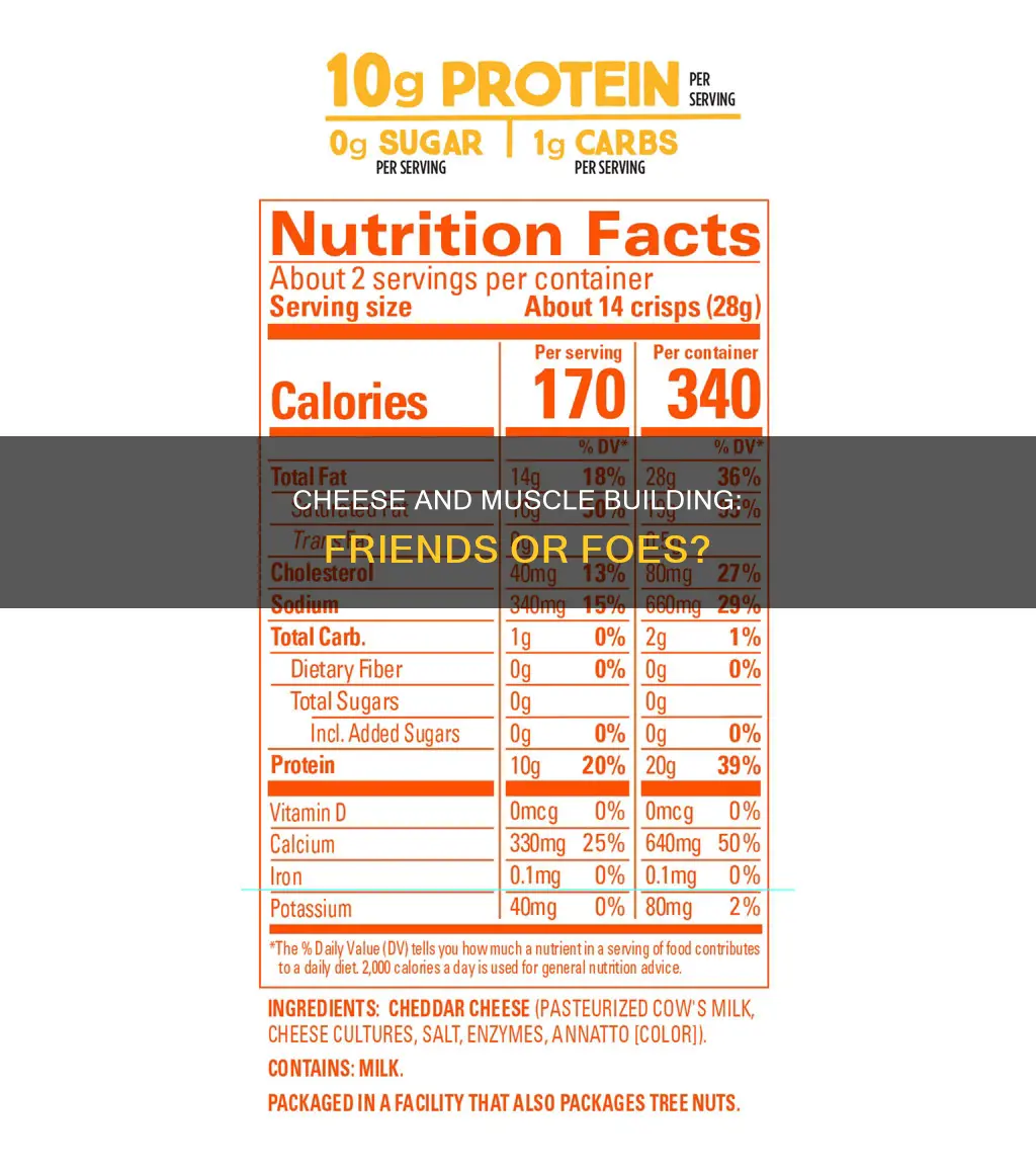 is cheese bad for muscle building
