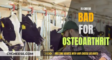 Cheese and Osteoarthritis: A Healthy Diet's Impact