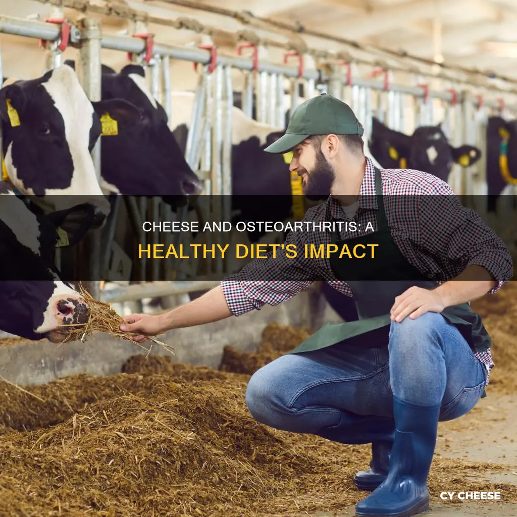 is cheese bad for osteoarthritis