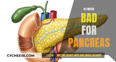 Cheese and Pancreas: A Healthy Relationship?