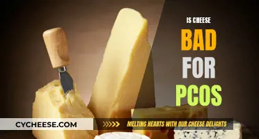 Cheese and PCOS: What's the Connection?