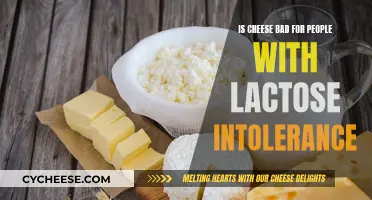 Cheese and Lactose Intolerance: What's the Verdict?