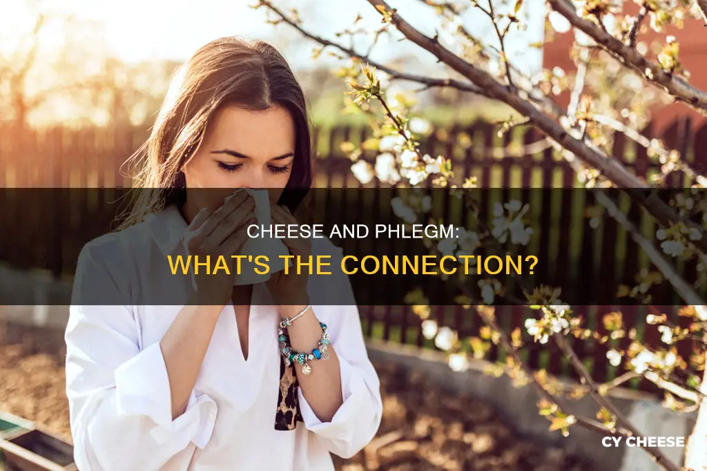 is cheese bad for phlegm