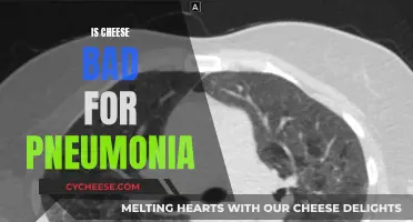 Cheese and Pneumonia: A Healthy Diet's Impact