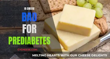 Cheese and Prediabetes: What You Need to Know