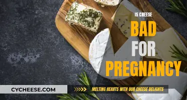 Cheese and Pregnancy: What's Safe?
