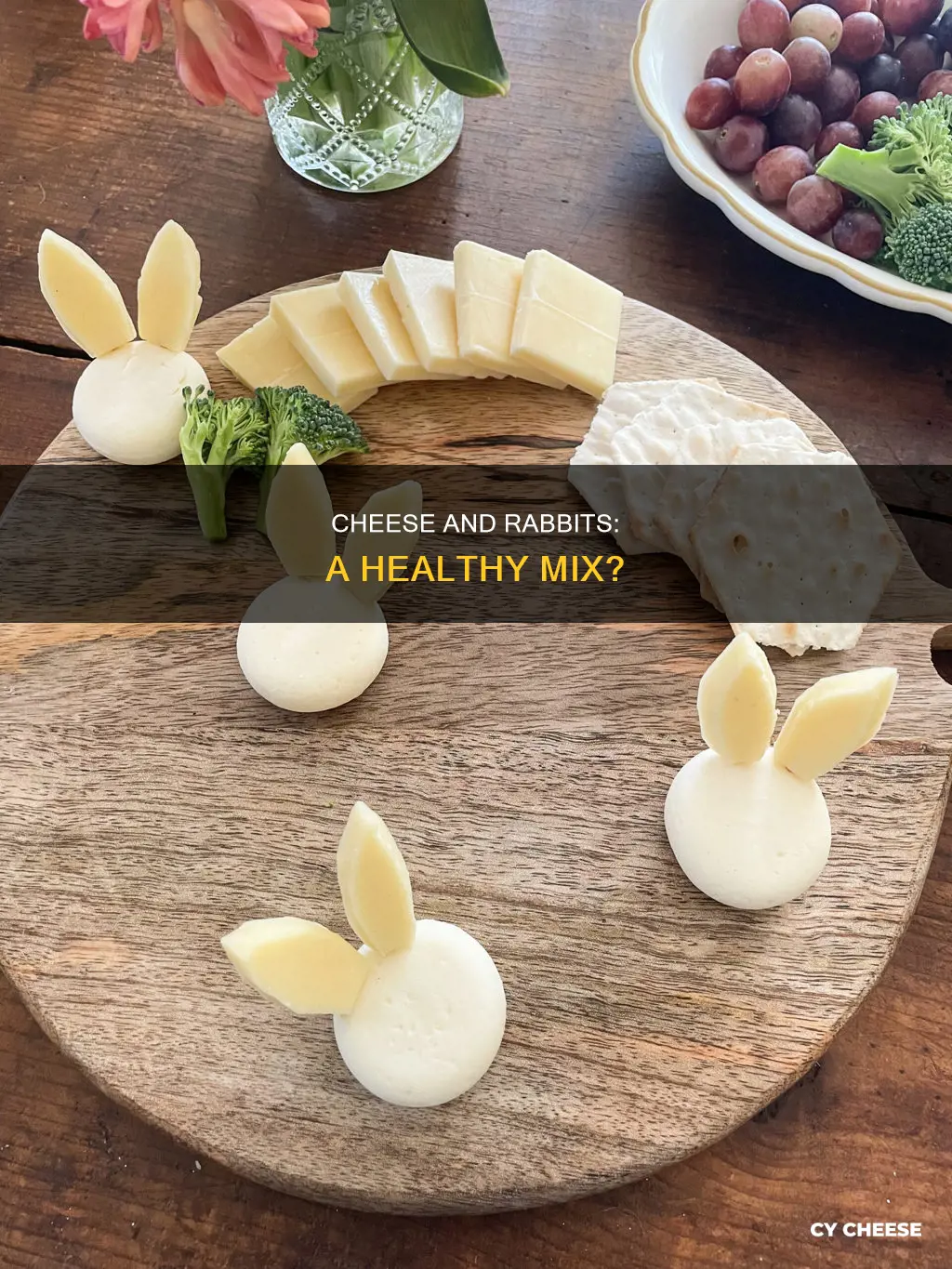 is cheese bad for rabbits