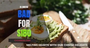 Cheese and SIBO: What's the Connection?
