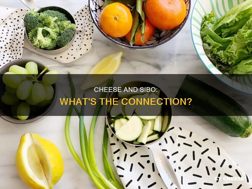 is cheese bad for sibo