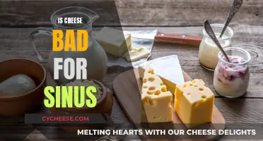 Cheese and Sinus: What's the Connection?