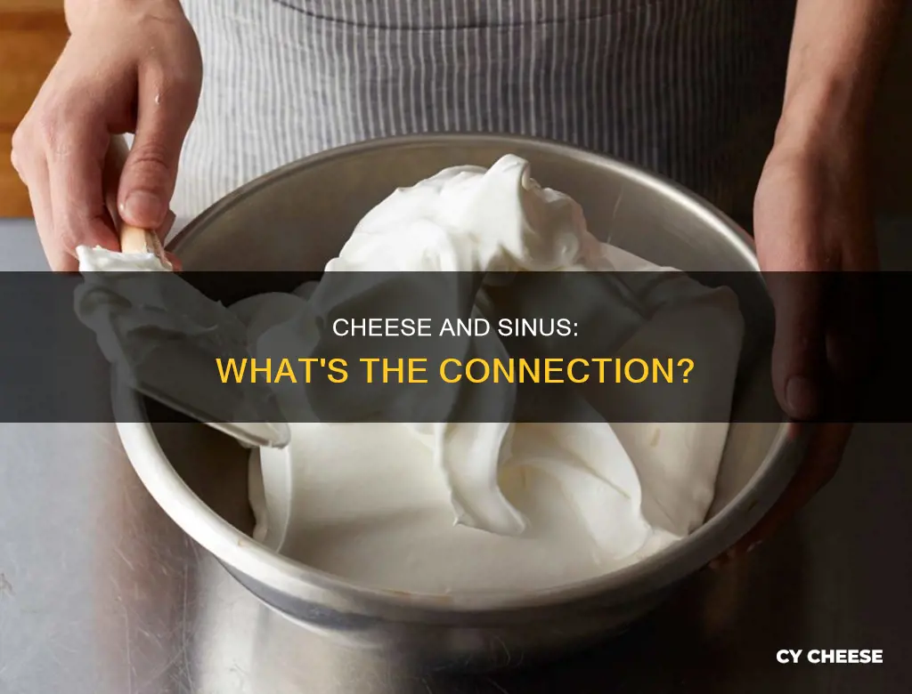 is cheese bad for sinus