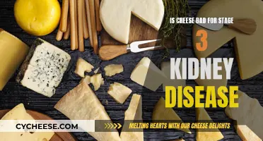 Cheese and Kidney Disease: What's the Connection?