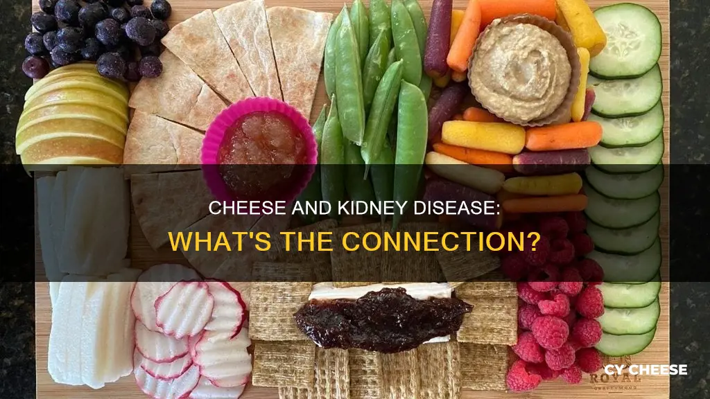 is cheese bad for stage 3 kidney disease