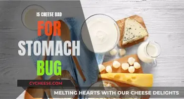 Cheese and Stomach Bugs: What's the Deal?