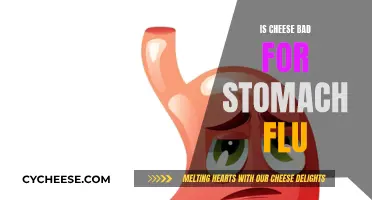 Cheese and Stomach Flu: A Risky Combination?