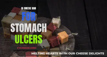Cheese and Stomach Ulcers: A Risky Combination?