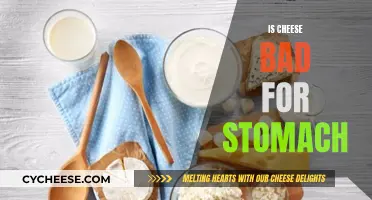 Cheese and Stomach: A Healthy Relationship?