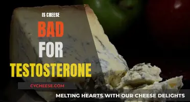 Cheese and Testosterone: A Healthy Relationship?