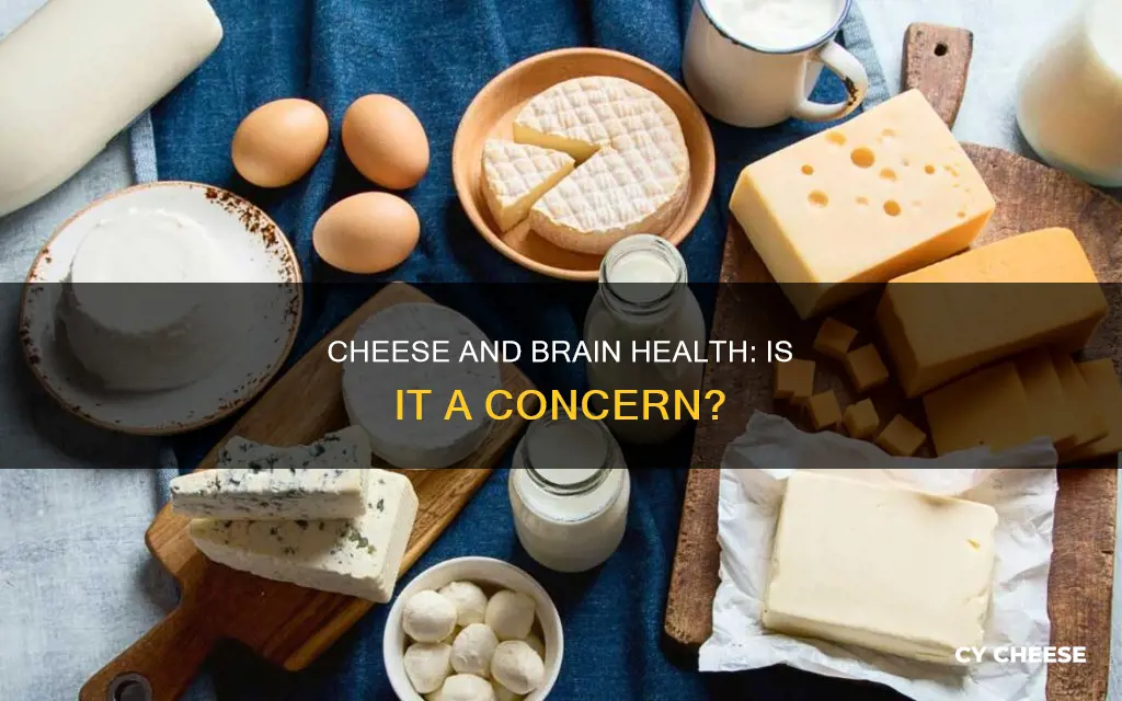 is cheese bad for the brain