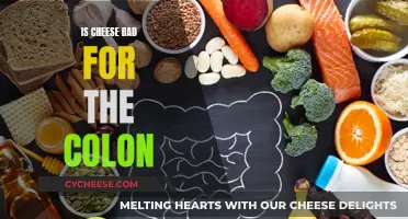 Cheese and Colon: What's the Connection?