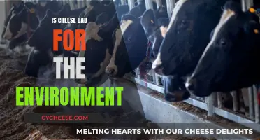 Cheese's Environmental Impact: Is it Bad for the Planet?