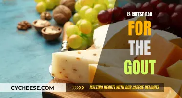 Cheese and Gout: A Risky Combination?