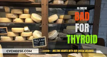 Cheese and Thyroid: A Risky Combination?