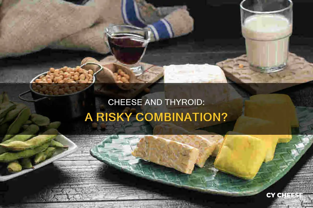 is cheese bad for thyroid