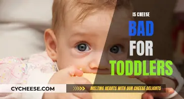 Cheese and Toddlers: A Healthy Mix?