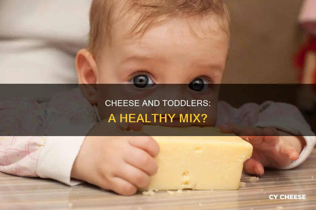 is cheese bad for toddlers