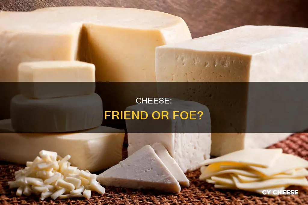 is cheese bad for tou