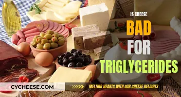 Cheese and Triglycerides: What's the Connection?