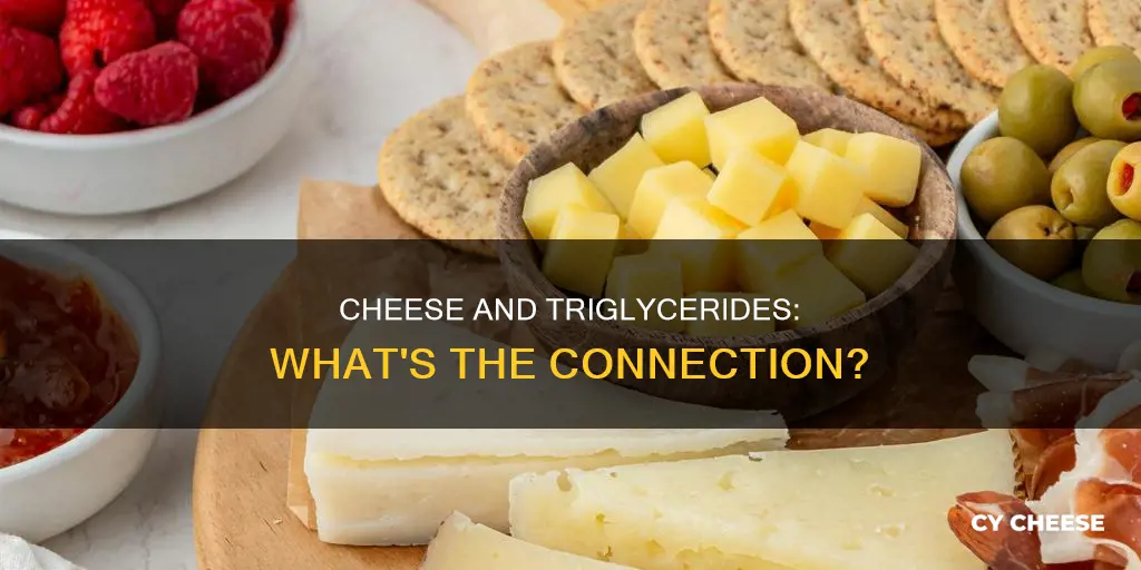 is cheese bad for triglycerides