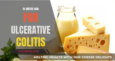Cheese and Ulcerative Colitis: What's the Connection?
