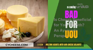 Cheese: Healthy or Unhealthy?
