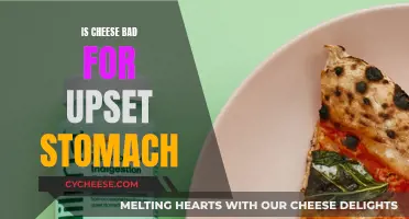 Cheese and Upset Stomachs: What You Need to Know
