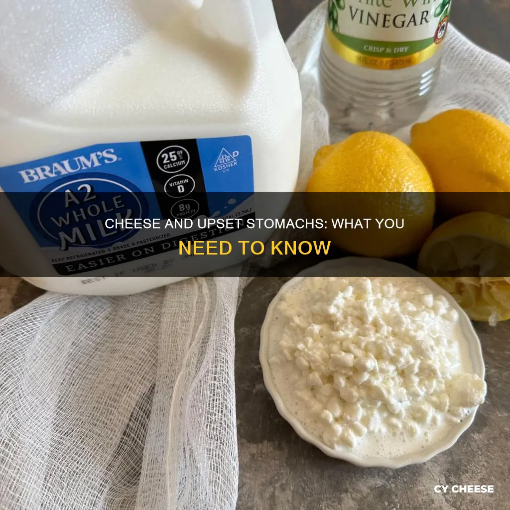 is cheese bad for upset stomach