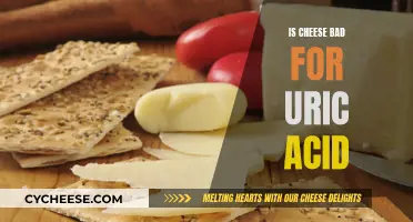 Cheese and Uric Acid: A Healthy Balance?