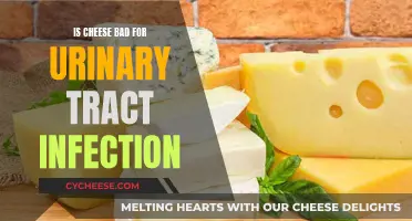 Cheese and Urinary Tract Infections: What's the Link?