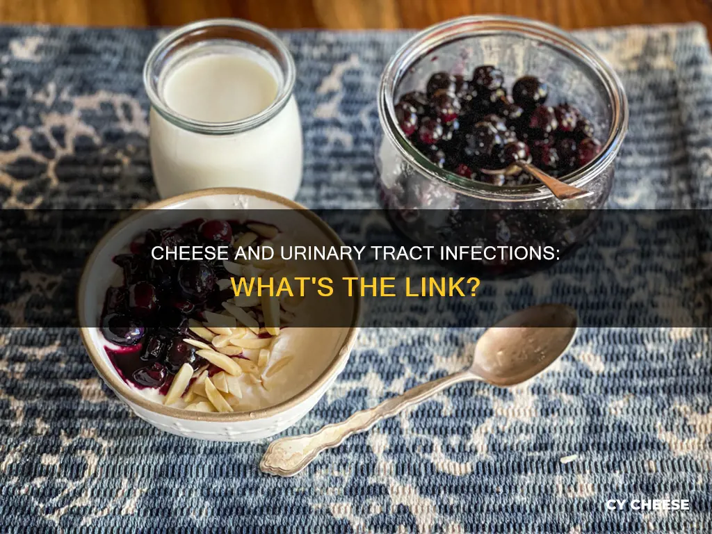is cheese bad for urinary tract infection