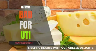 Cheese and UTI: What's the Connection?