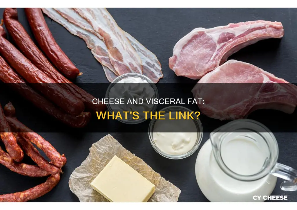 is cheese bad for visceral fat