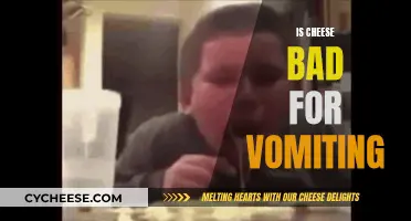 Cheese and Vomiting: What's the Connection?