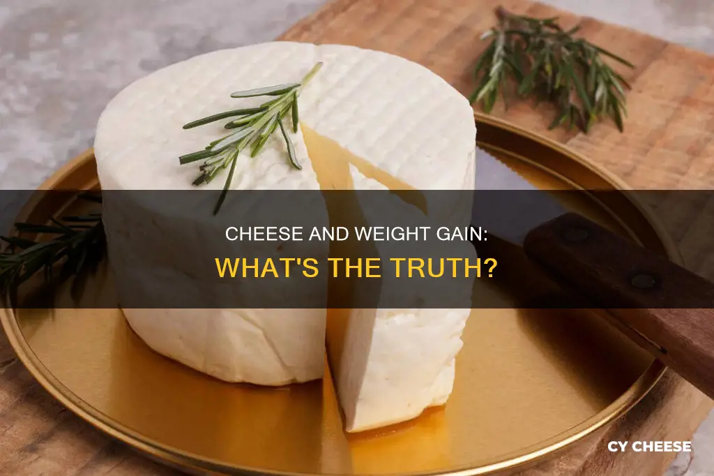 is cheese bad for weight gain