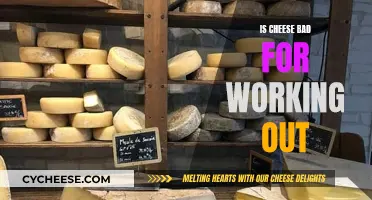 Cheese and Workouts: Friends or Foes?