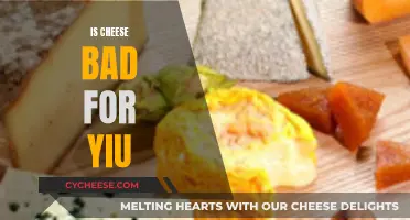 Cheese: Friend or Foe?