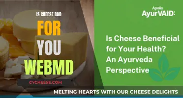 Cheese and Health: WebMD's Take
