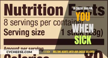 Cheese Consumption: Friend or Foe When Sick?