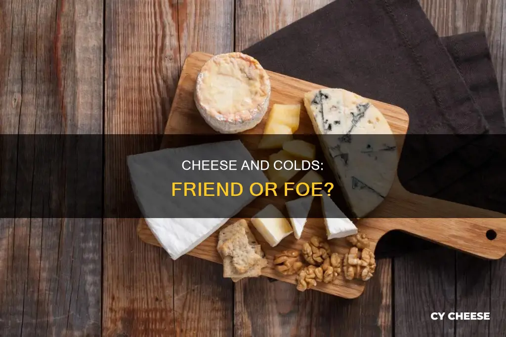 is cheese bad for you when you have a cold