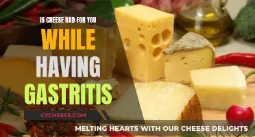 Cheese and Gastritis: What's the Real Deal?
